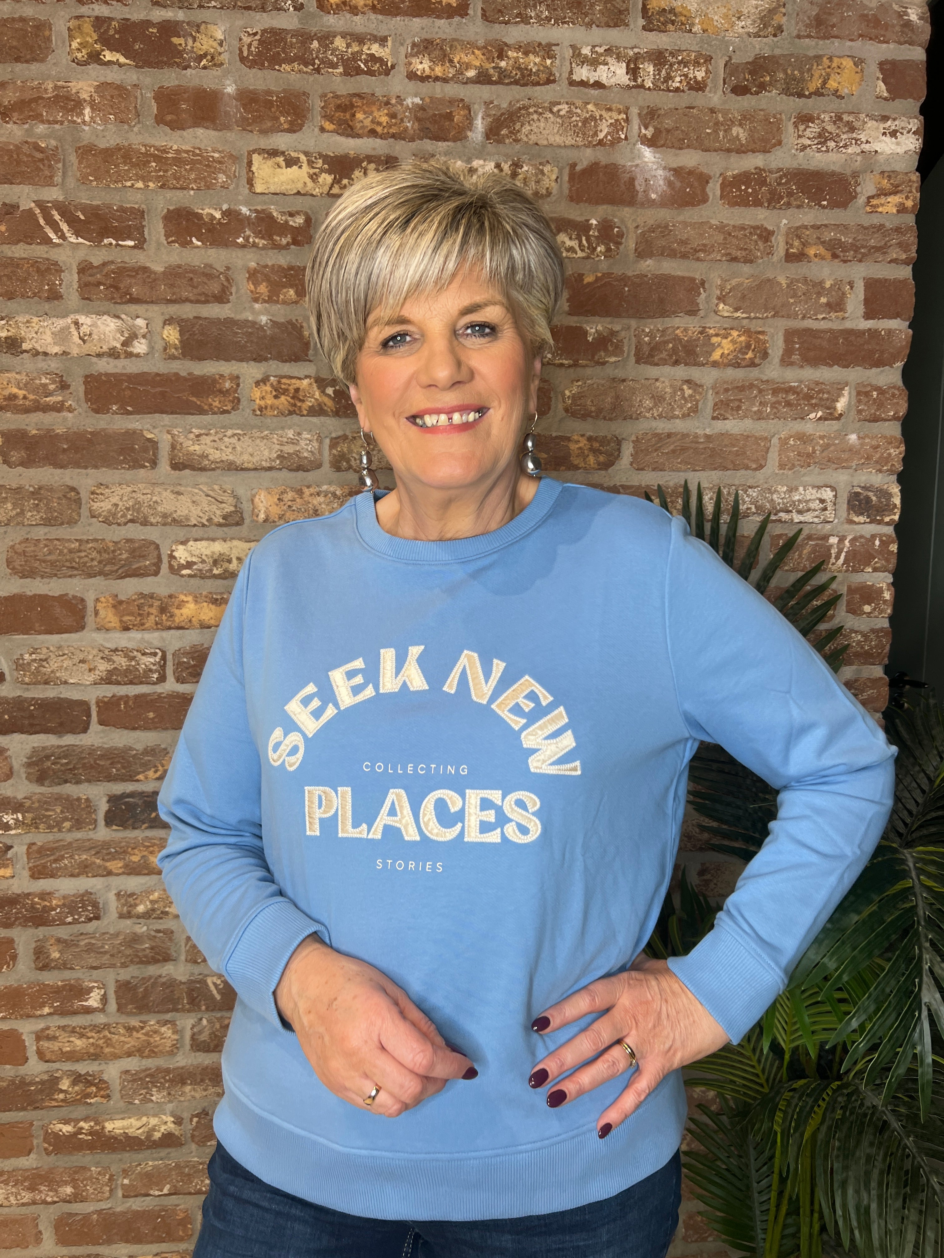 Cecil Embroidery Sweatshirt In Cloud Blue