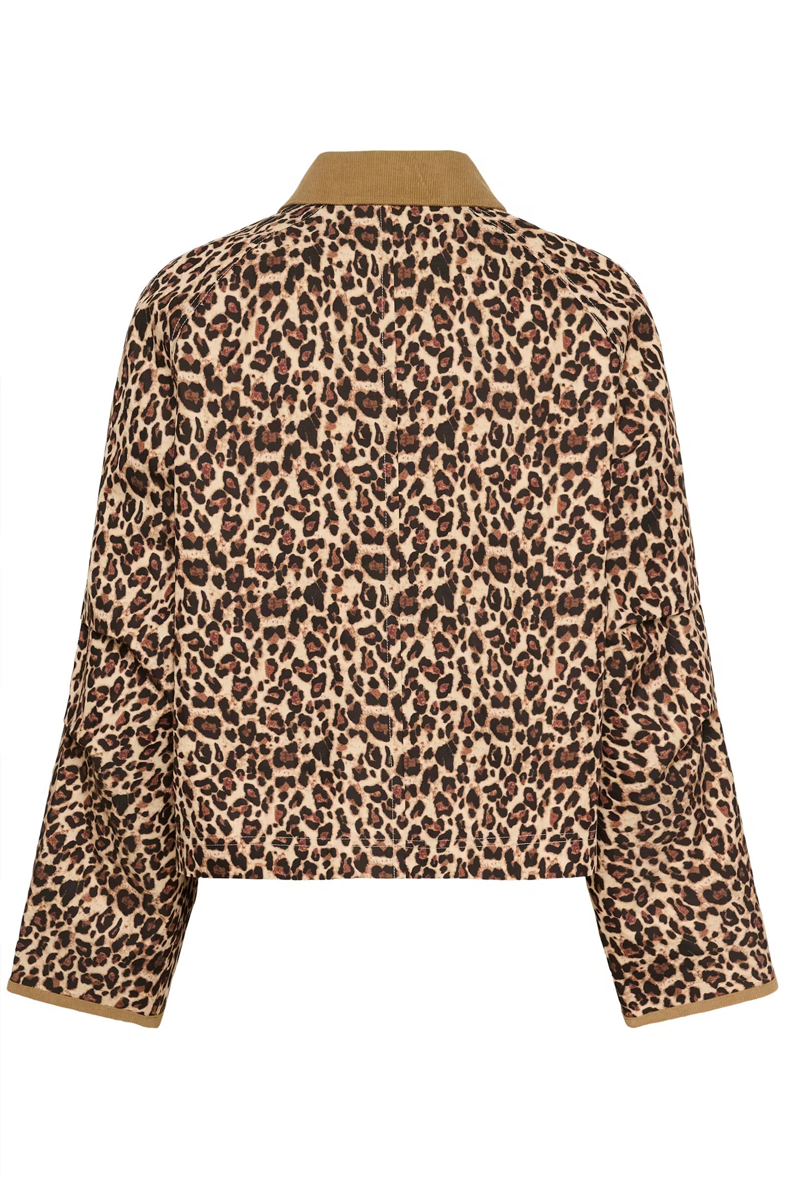 Saint Tropez Leo Jacket In Black Multi