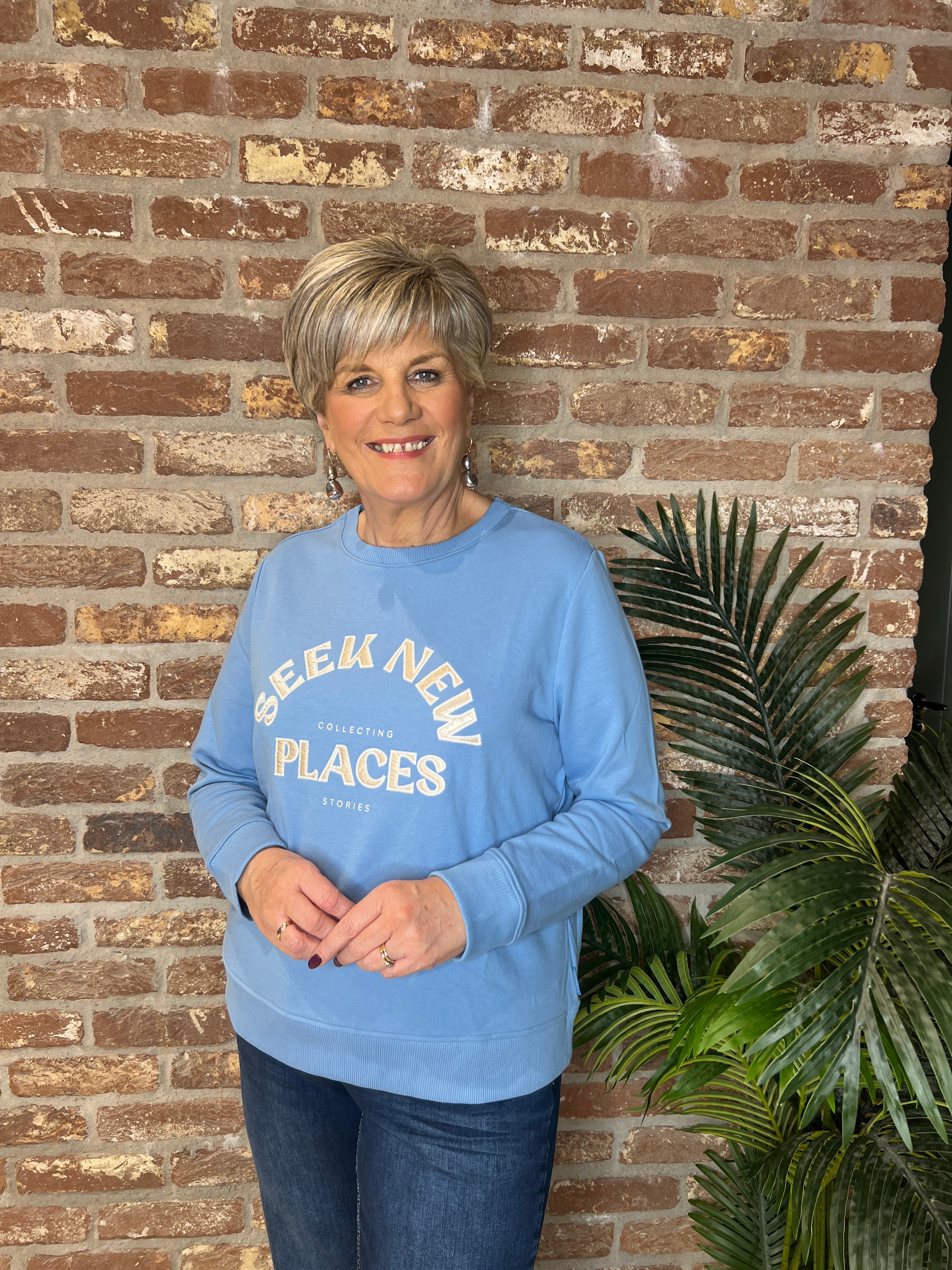 Cecil Embroidery Sweatshirt In Cloud Blue