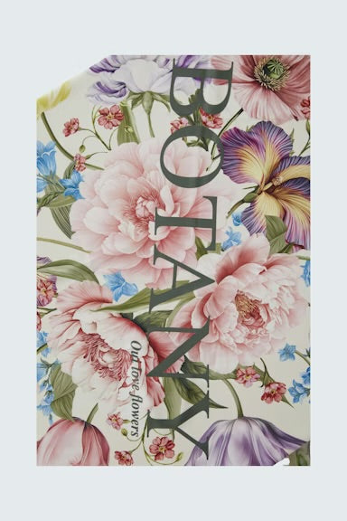 Oui Floral Neck Scarf In Rose Blue