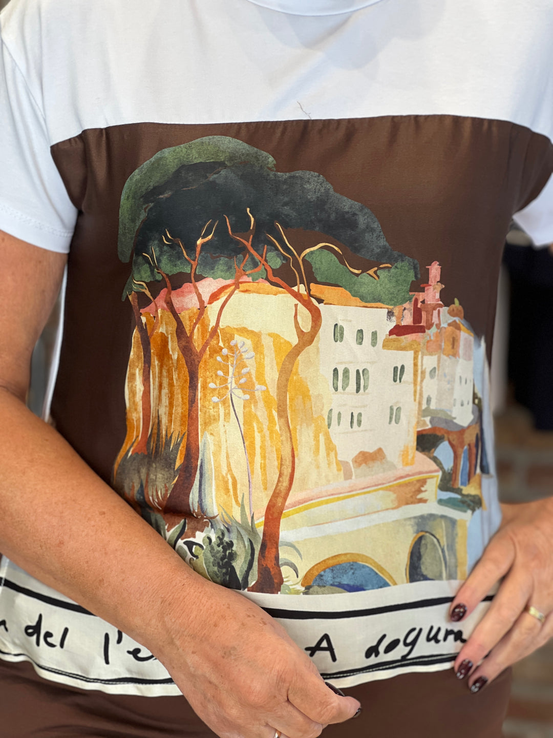 Deck By Decollage Scenic Patterned T-shirt In Chocolate