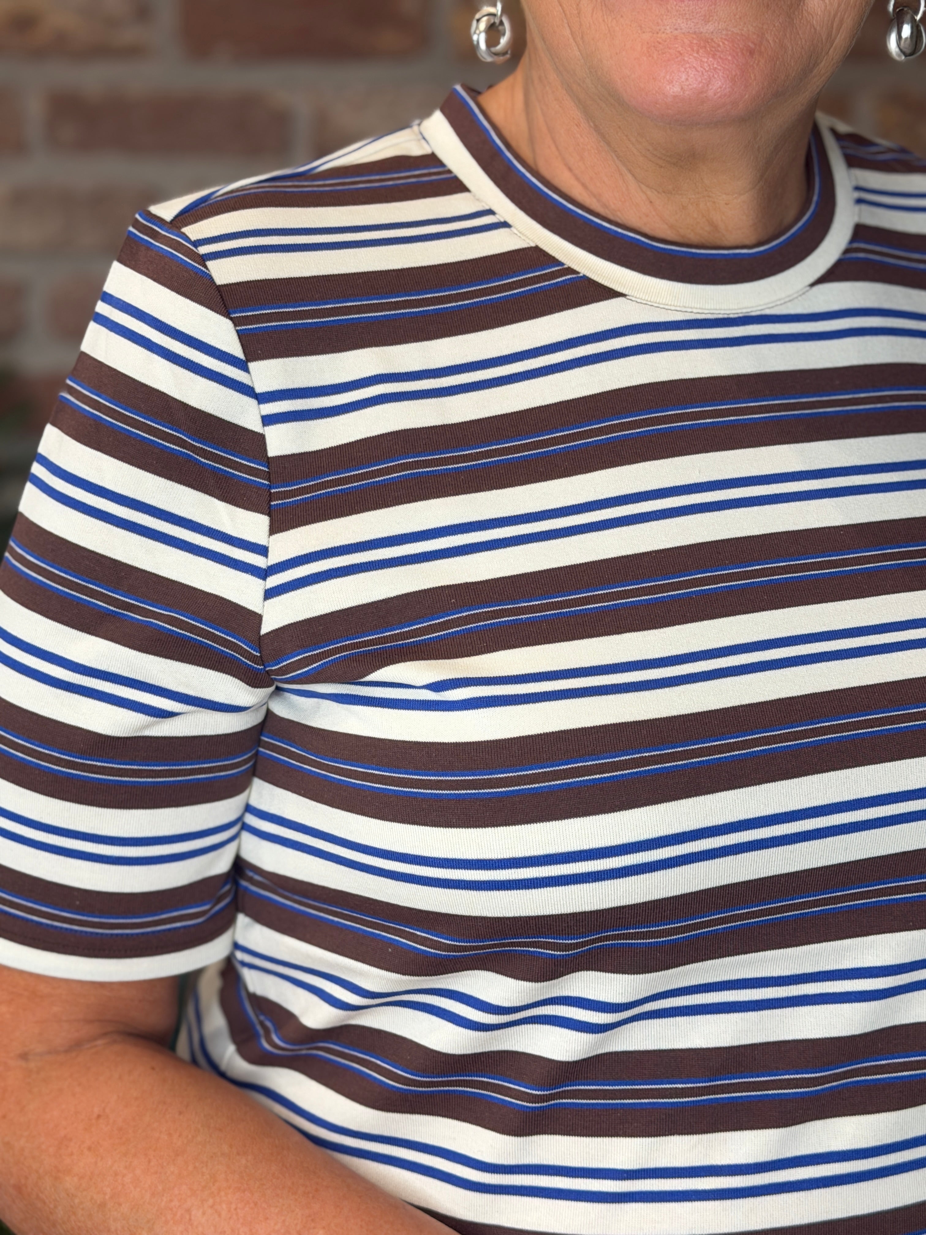 Striped round neck t-shirt in brown & blue