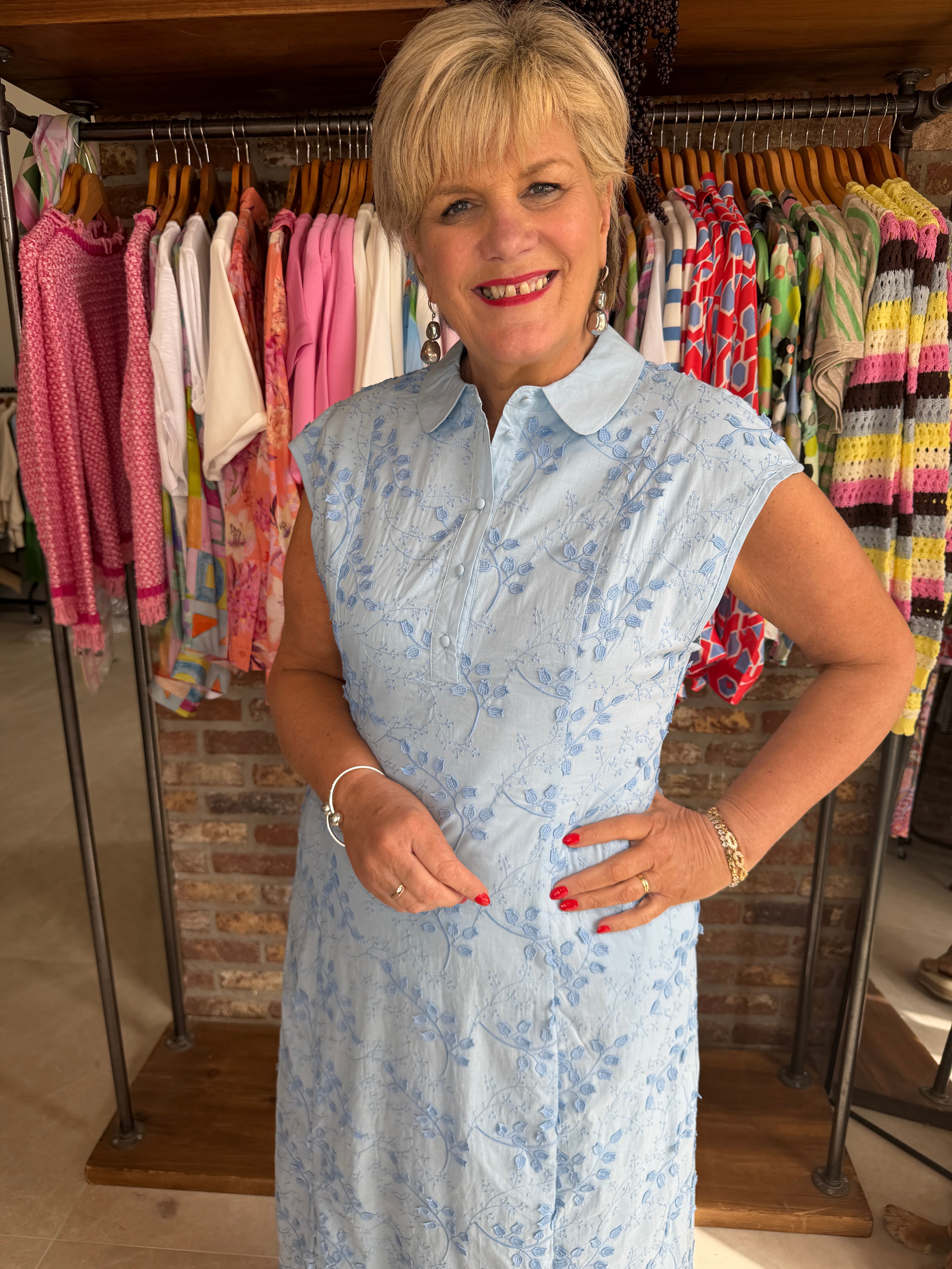 Culture Neda Embroidery Dress  In Powder Blue