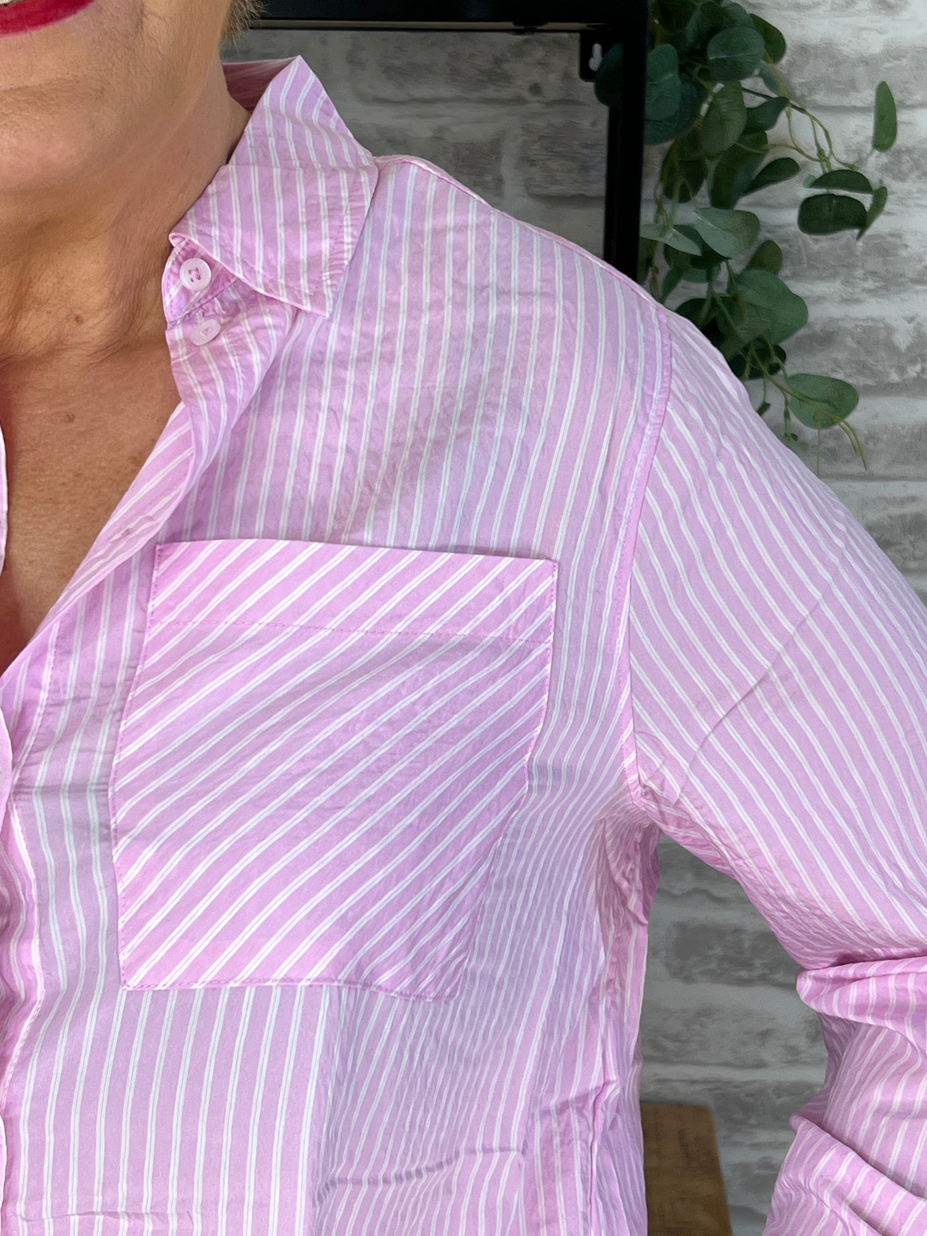 Cecil Striped Shirt In Cherry Blossom