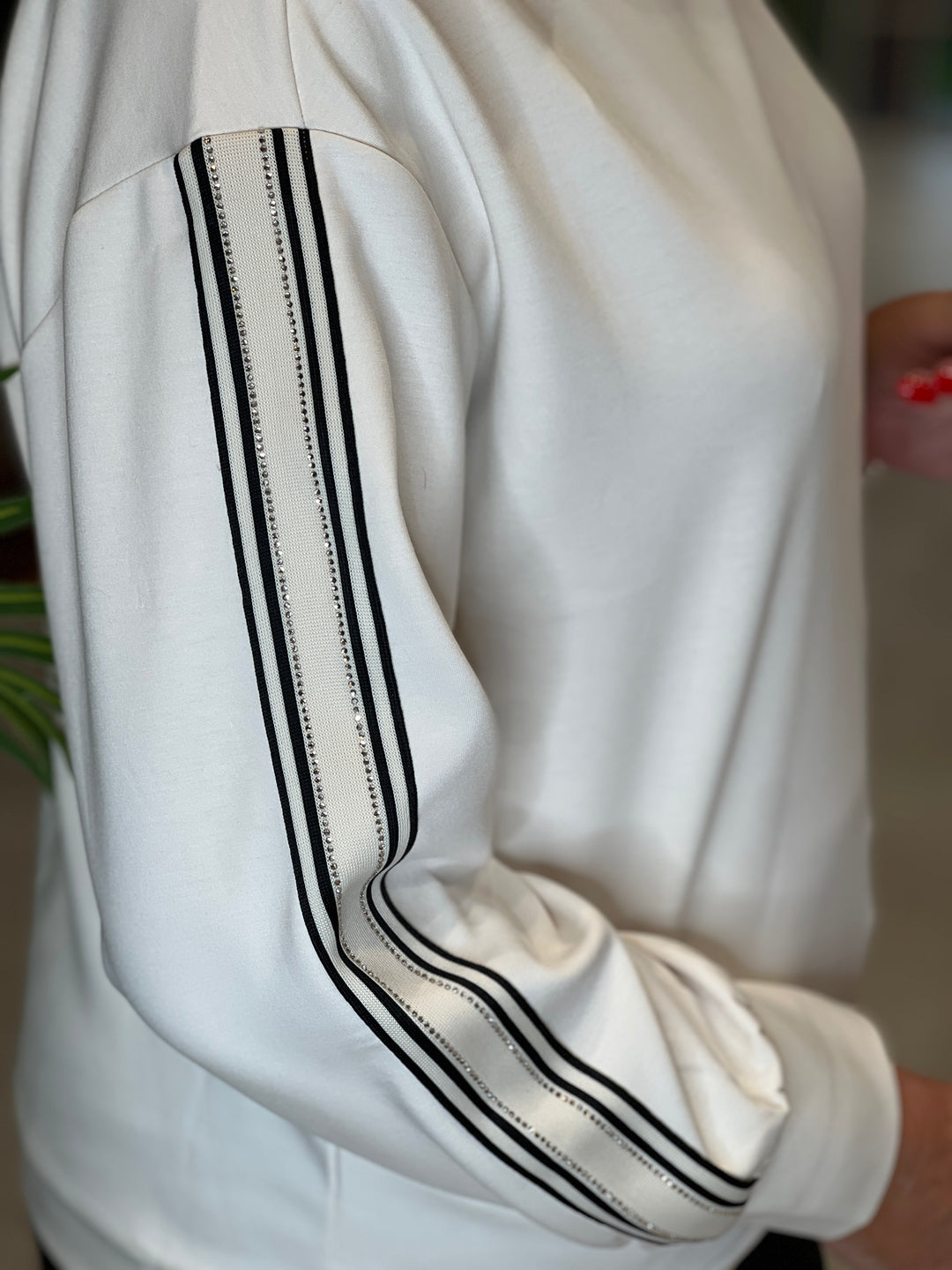 Monari Sweatshirt With Stripe In Almond