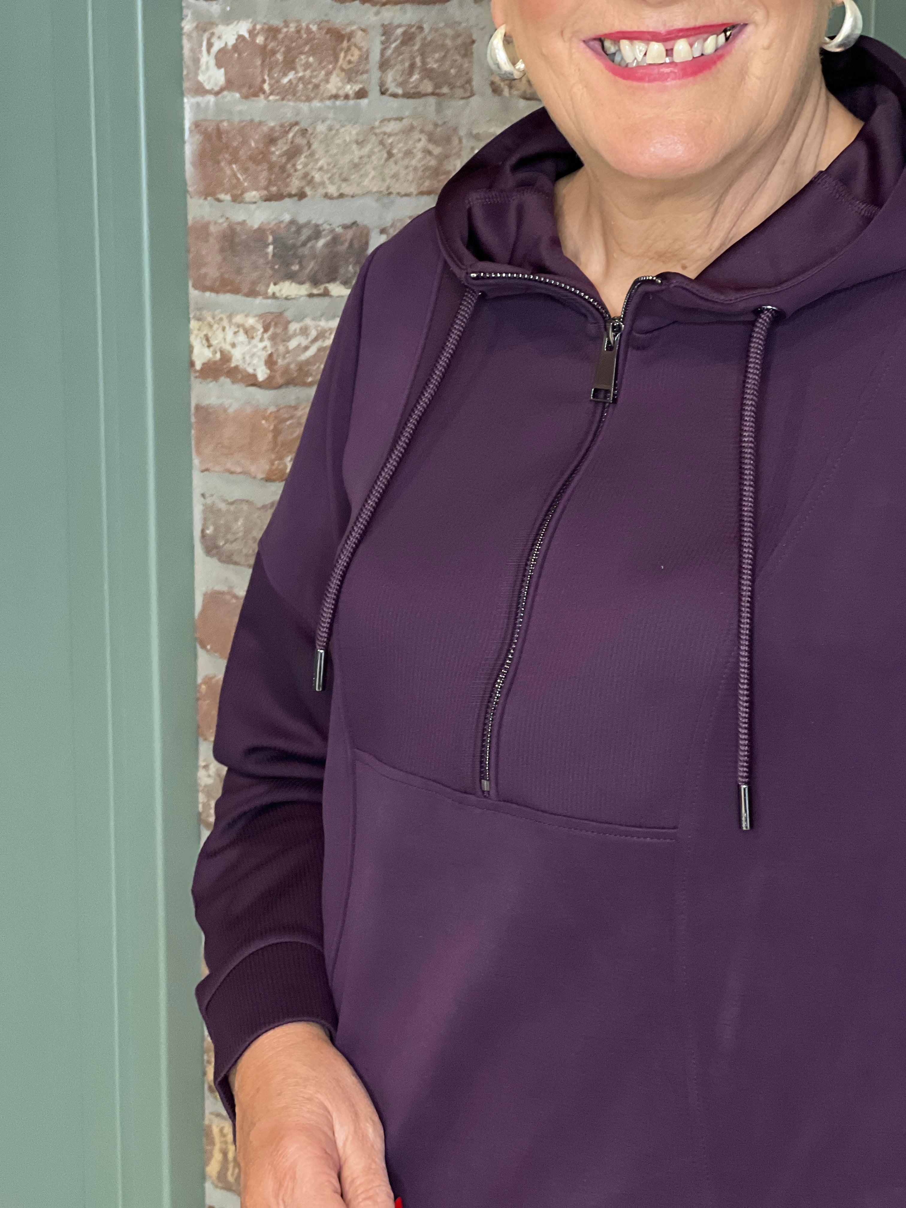 Cecil Troyer Hoodie In Eggplant Red