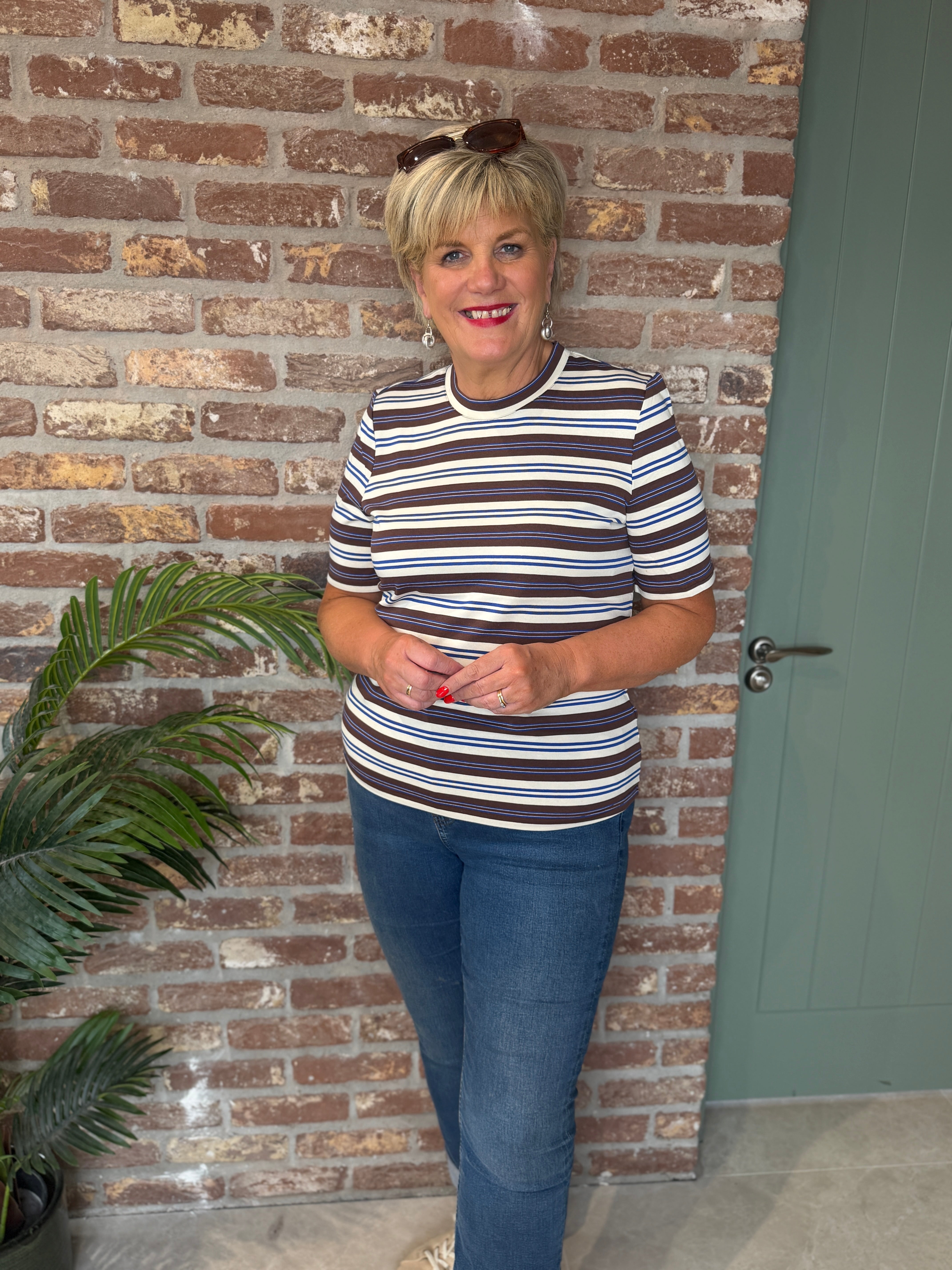 Striped round neck t-shirt in brown & blue
