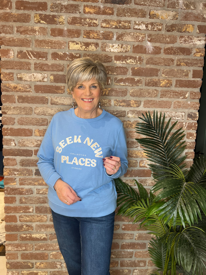 Cecil Embroidery Sweatshirt In Cloud Blue