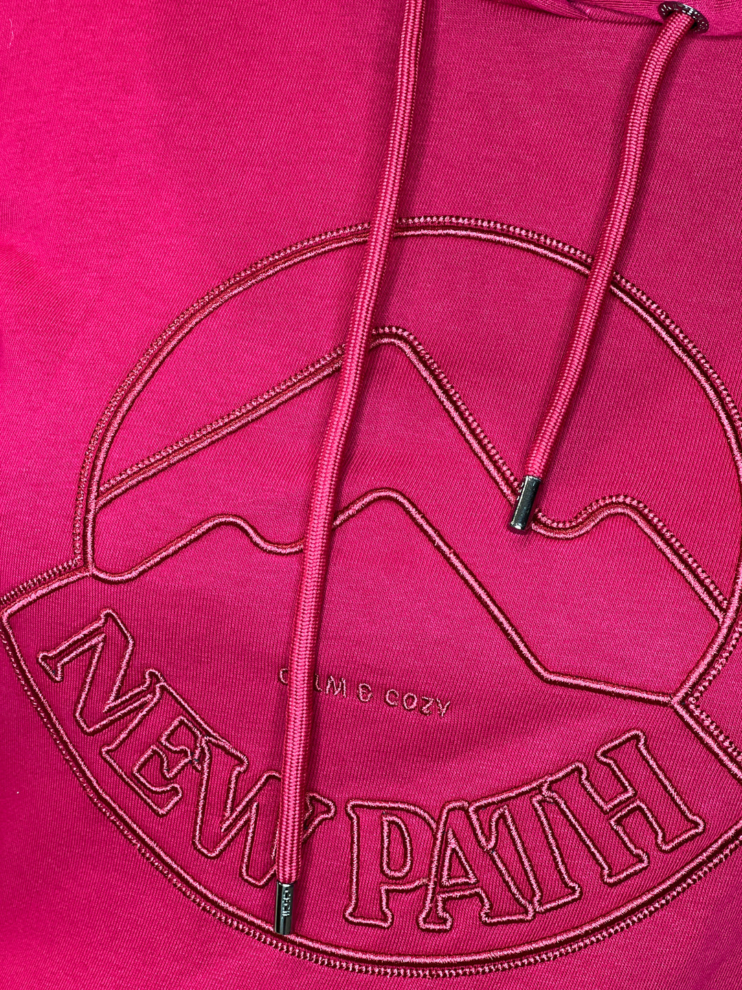 Cecil Embroidery Hoodie In Beaujolais Red