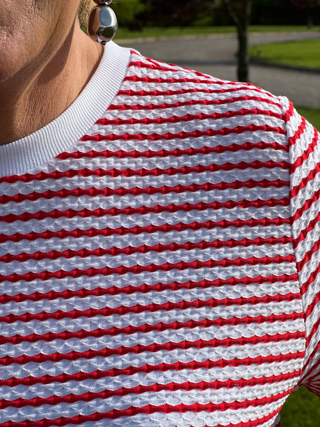 Monari Striped Print T-shirt In Red Multi